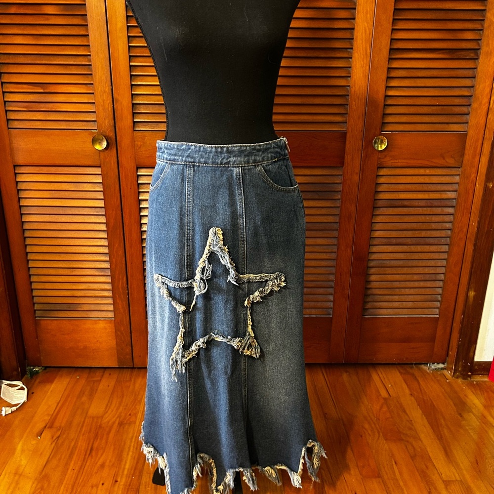 Cider Blue Embellished A-Line Midi Skirt